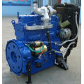 Weifang 50hp Dieselmotor 495ZD für generator